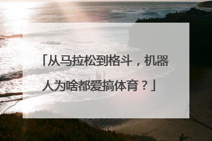 从马拉松到格斗，机器人为啥都爱搞体育？