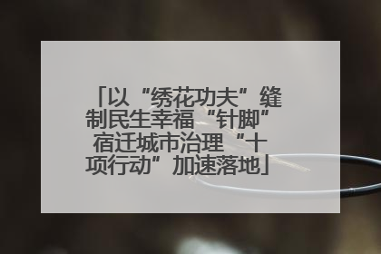 以“绣花功夫”缝制民生幸福“针脚” 宿迁城市治理“十项行动”加速落地
