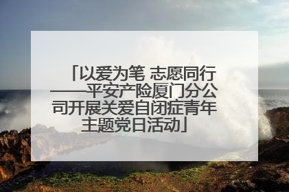 以爱为笔 志愿同行——平安产险厦门分公司开展关爱自闭症青年主题党日活动