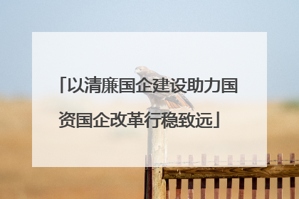 以清廉国企建设助力国资国企改革行稳致远