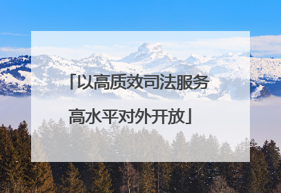 以高质效司法服务高水平对外开放