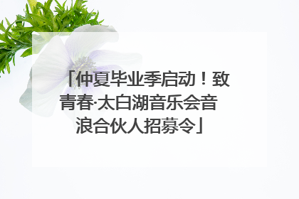 仲夏毕业季启动！致青春·太白湖音乐会音浪合伙人招募令