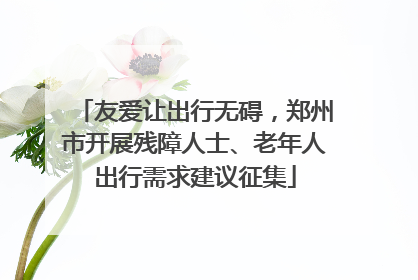 友爱让出行无碍，郑州市开展残障人士、老年人出行需求建议征集