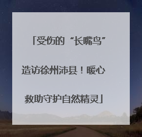 受伤的“长嘴鸟”造访徐州沛县！暖心救助守护自然精灵