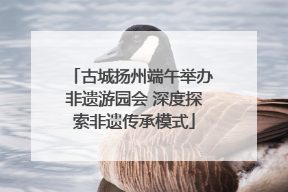 古城扬州端午举办非遗游园会 深度探索非遗传承模式