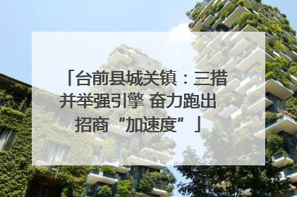 台前县城关镇：三措并举强引擎 奋力跑出招商“加速度”