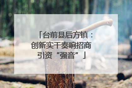 台前县后方镇：创新实干奏响招商引资“强音”