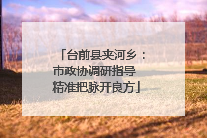 台前县夹河乡：市政协调研指导 精准把脉开良方