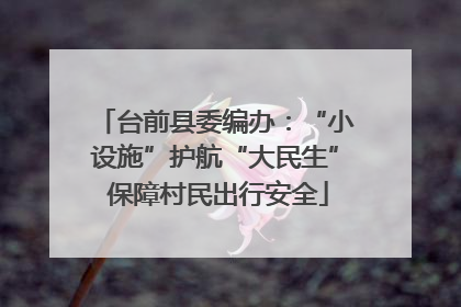 台前县委编办：“小设施”护航“大民生” 保障村民出行安全