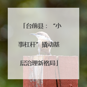 台前县：“小事杠杆”撬动基层治理新格局