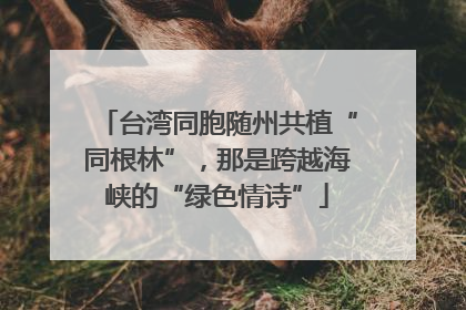 台湾同胞随州共植“同根林”，那是跨越海峡的“绿色情诗”
