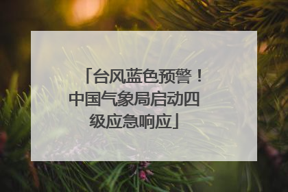 台风蓝色预警！中国气象局启动四级应急响应