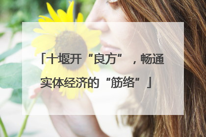 十堰开“良方”，畅通实体经济的“筋络”