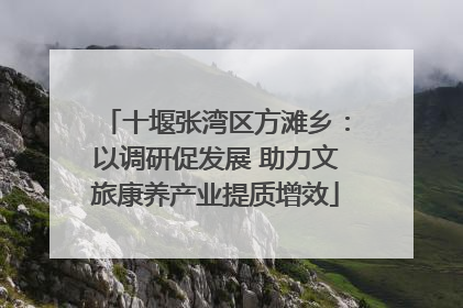 十堰张湾区方滩乡：以调研促发展 助力文旅康养产业提质增效