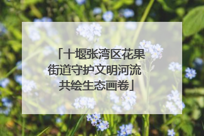 十堰张湾区花果街道守护文明河流 共绘生态画卷