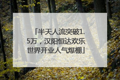 半天人流突破1.5万，汉阳恒达欢乐世界开业人气爆棚