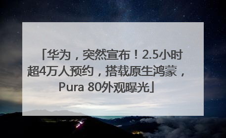 华为，突然宣布！2.5小时超4万人预约，搭载原生鸿蒙，Pura 80外观曝光