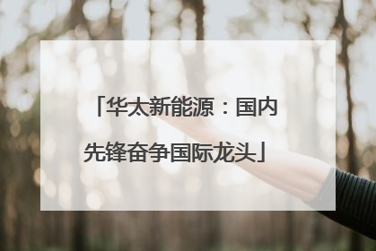 华太新能源：国内先锋奋争国际龙头