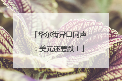 华尔街异口同声：美元还要跌！