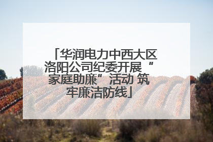华润电力中西大区洛阳公司纪委开展“家庭助廉”活动 筑牢廉洁防线