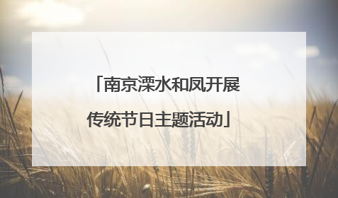 南京溧水和凤开展传统节日主题活动