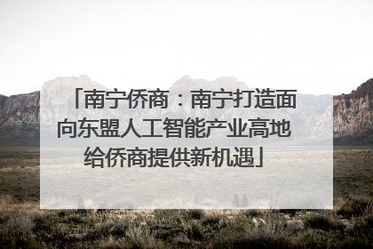 南宁侨商：南宁打造面向东盟人工智能产业高地给侨商提供新机遇