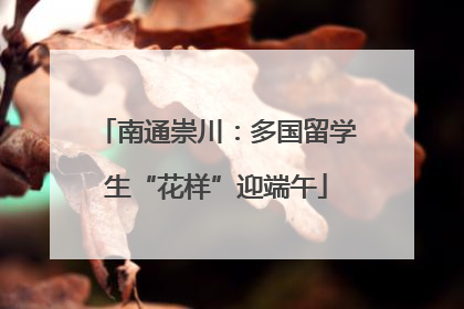南通崇川：多国留学生“花样”迎端午