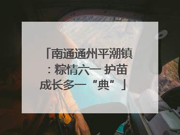 南通通州平潮镇：粽情六一 护苗成长多一“典”