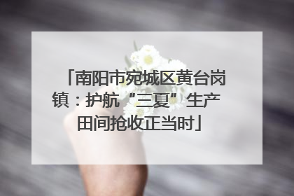 南阳市宛城区黄台岗镇：护航“三夏”生产 田间抢收正当时