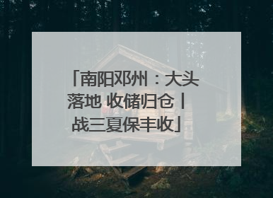 南阳邓州：大头落地 收储归仓丨战三夏保丰收