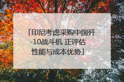 印尼考虑采购中国歼-10战斗机 正评估性能与成本优势