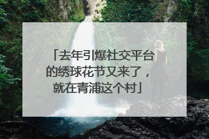 去年引爆社交平台的绣球花节又来了，就在青浦这个村
