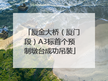 厦金大桥（厦门段）A3标首个预制墩台成功吊装