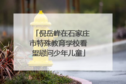 倪岳峰在石家庄市特殊教育学校看望慰问少年儿童