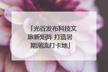 光谷发布科技文旅新矩阵 打造暑期潮流打卡地