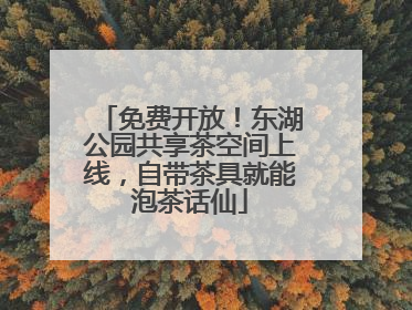 免费开放！东湖公园共享茶空间上线，自带茶具就能泡茶话仙