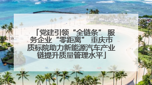 党建引领“全链条” 服务企业“零距离” 重庆市质标院助力新能源汽车产业链提升质量管理水平