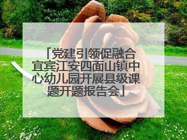 党建引领促融合 宜宾江安四面山镇中心幼儿园开展县级课题开题报告会