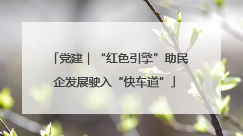 党建｜“红色引擎”助民企发展驶入“快车道”