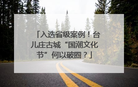 入选省级案例！台儿庄古城“国潮文化节”何以破圈？