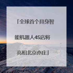 全球首个具身智能机器人4S店将亮相北京亦庄