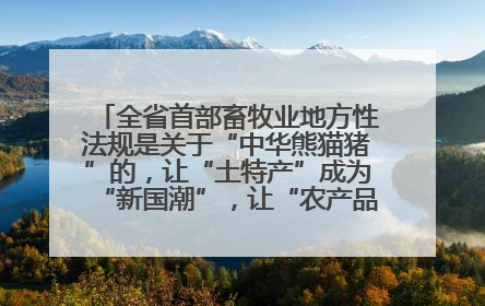 全省首部畜牧业地方性法规是关于“中华熊猫猪”的，让“土特产”成为“新国潮”，让“农产品”升格为“城市IP”