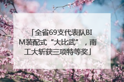 全省69支代表队BIM装配式“大比武”，南工大斩获三项特等奖