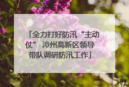 全力打好防汛“主动仗” 漳州高新区领导带队调研防汛工作