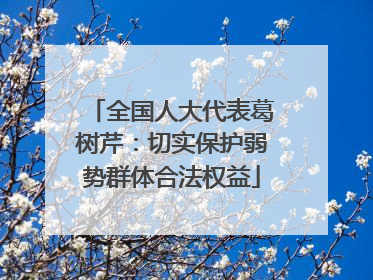 全国人大代表葛树芹：切实保护弱势群体合法权益