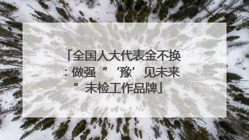 全国人大代表金不换：做强“‘豫’见未来”未检工作品牌
