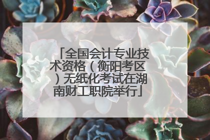 全国会计专业技术资格（衡阳考区）无纸化考试在湖南财工职院举行