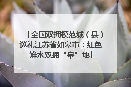 全国双拥模范城（县）巡礼江苏省如皋市：红色雉水双拥“皋”地