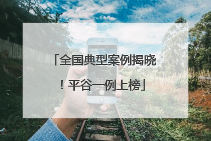 全国典型案例揭晓！平谷一例上榜