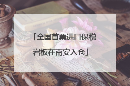 全国首票进口保税岩板在南安入仓